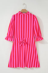Rose Stripe Frilled Collar Button Neck Short Sleeve Curvy Mini Dress