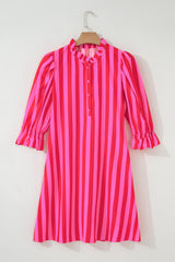Rose Stripe Frilled Collar Button Neck Short Sleeve Curvy Mini Dress